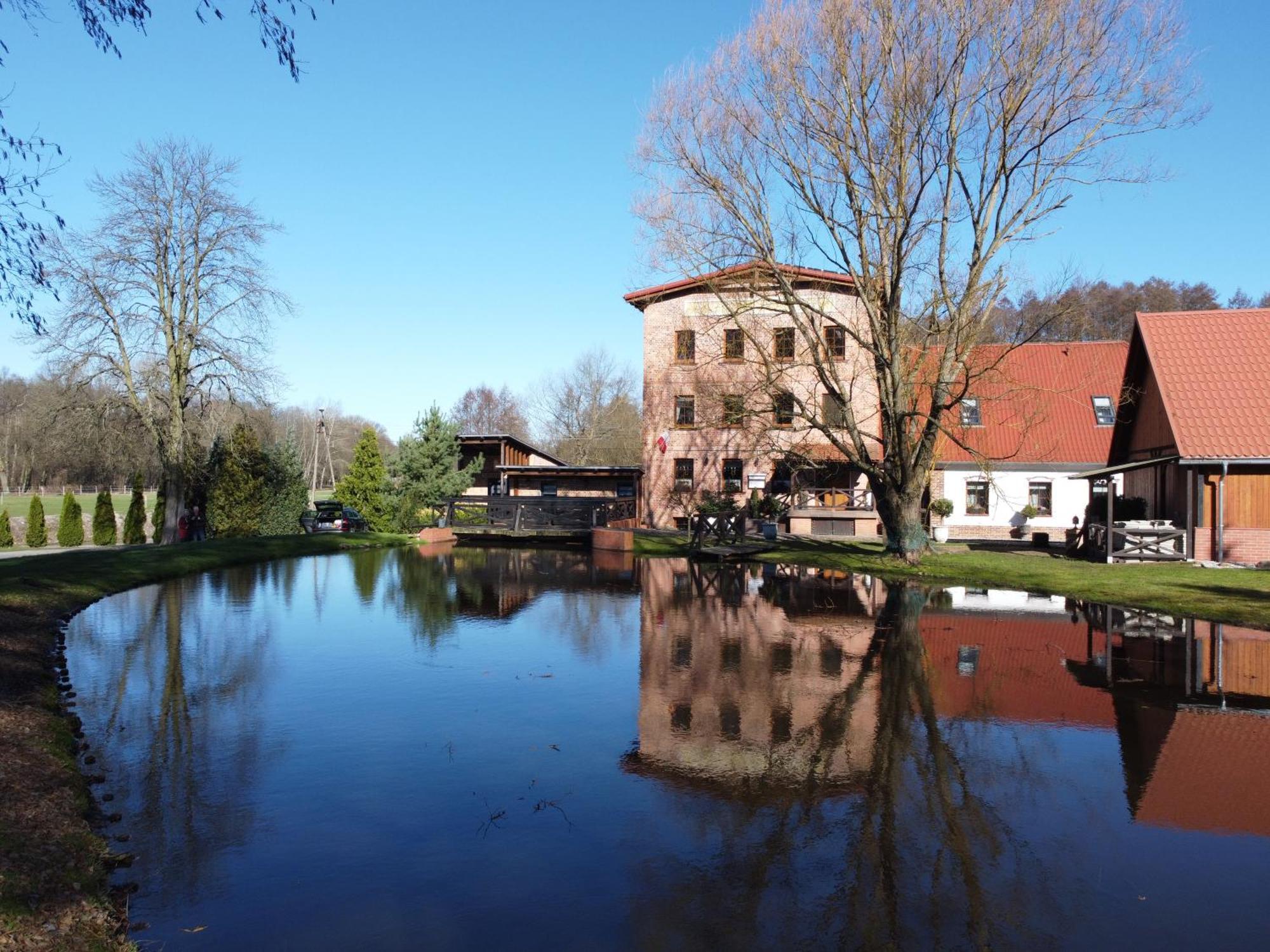Vila Stary Mlyn W Brzeznicy Brzeznica  Exteriér fotografie