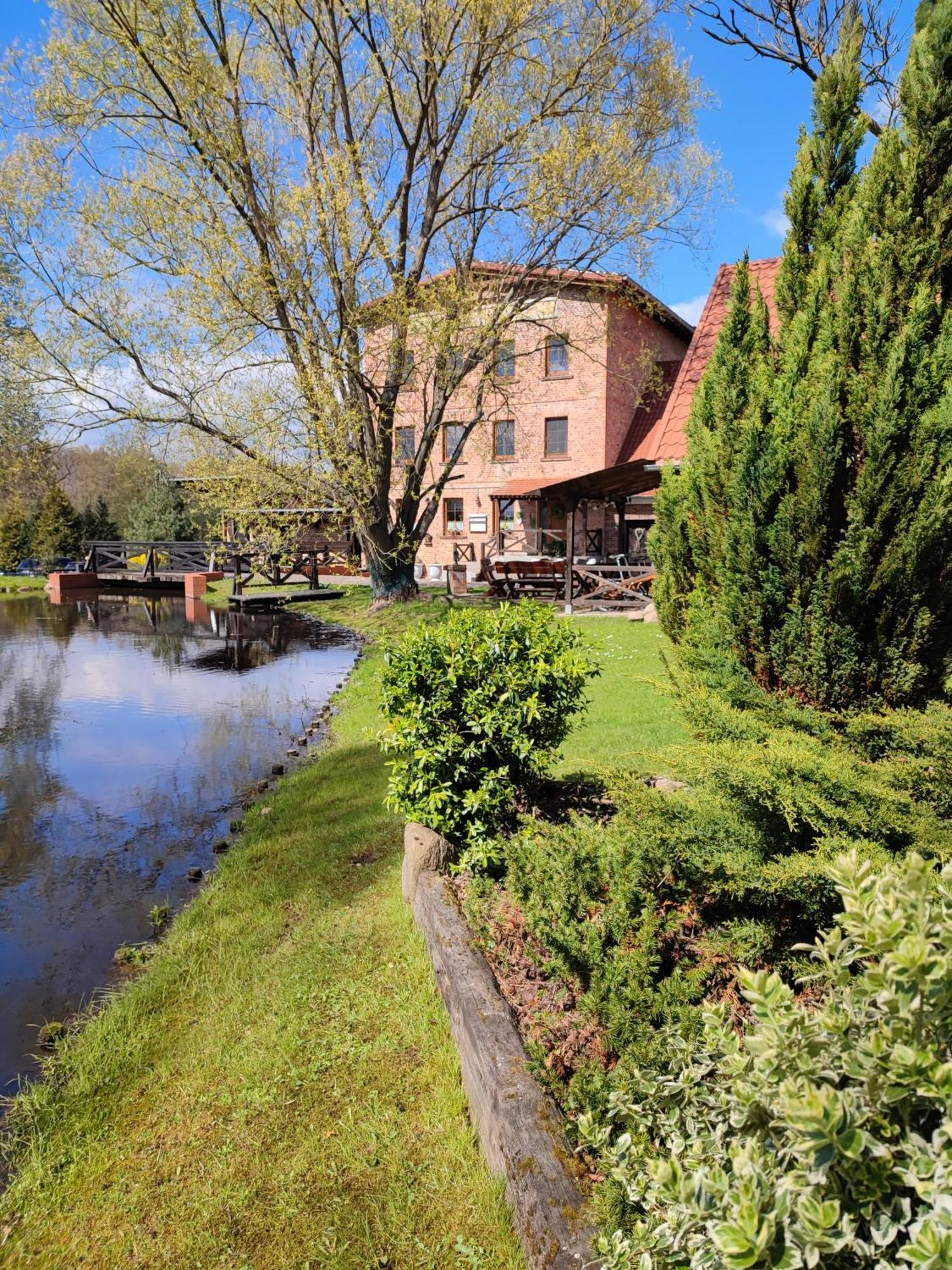 Vila Stary Mlyn W Brzeznicy Brzeznica  Exteriér fotografie
