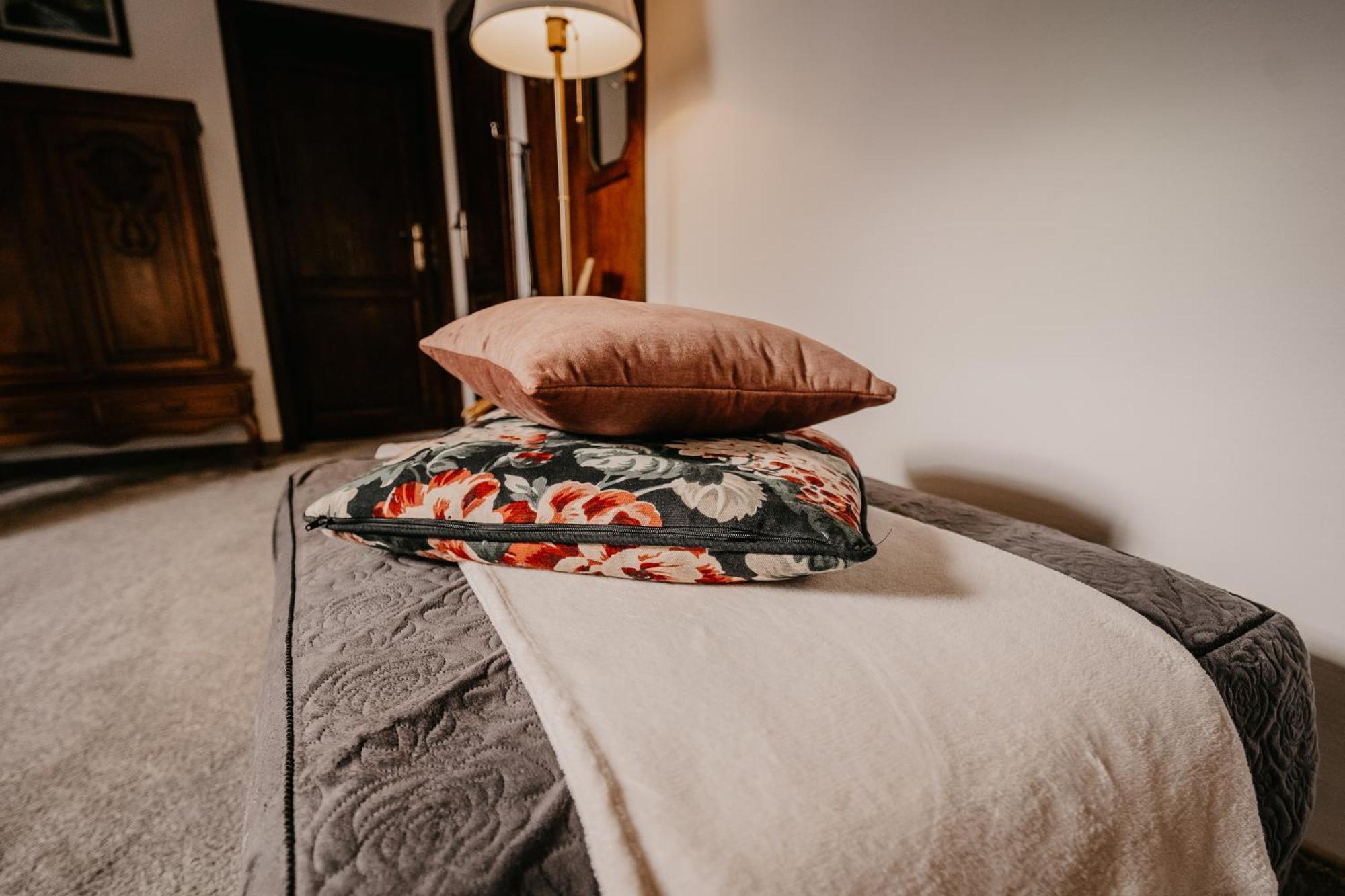 Vila Stary Mlyn W Brzeznicy Brzeznica  Exteriér fotografie